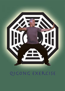 Kehoe Martial Arts - Qigong DVD
